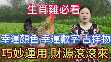 雞幸運顏色|屬雞必看：幸運色改變你命運